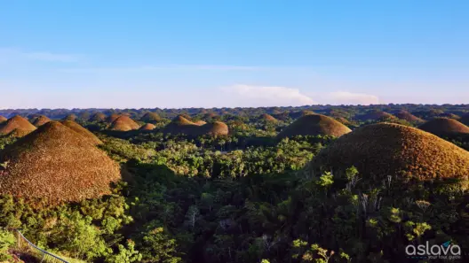 Bohol Philippines