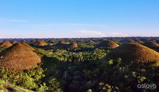 Bohol Philippines