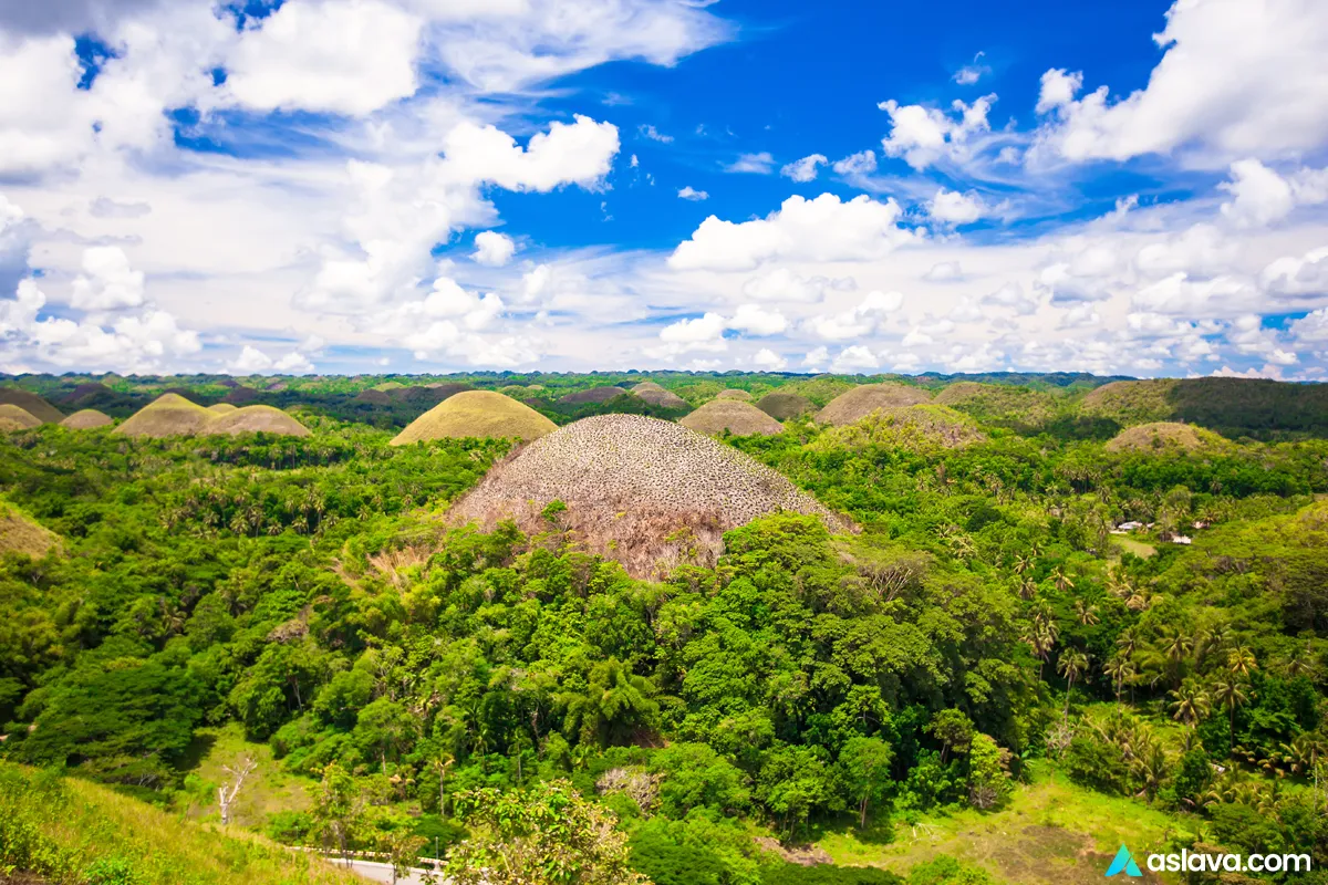 Bohol Philippines: Complete 2026 Travel Guide to Island Adventures