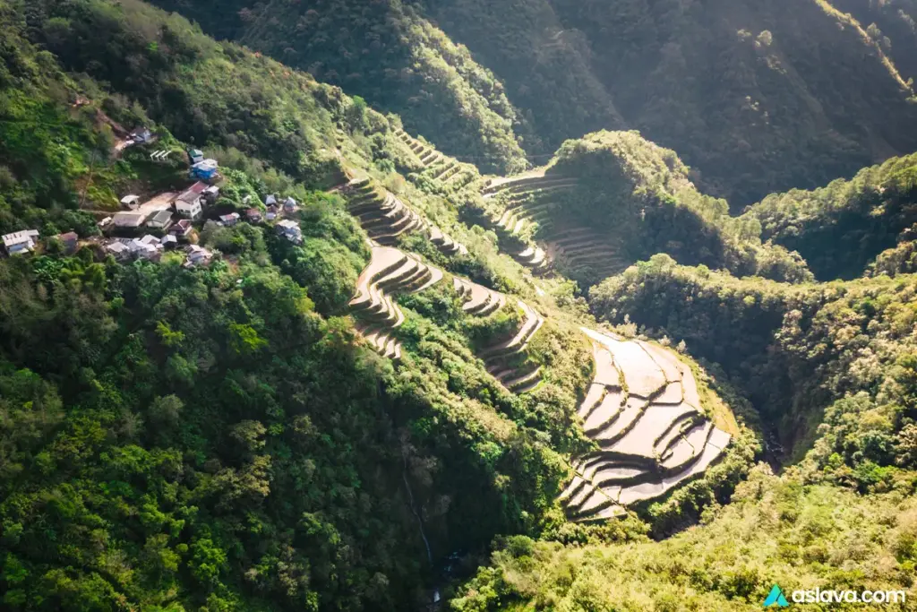 Banaue & Ifugao Rice Terraces