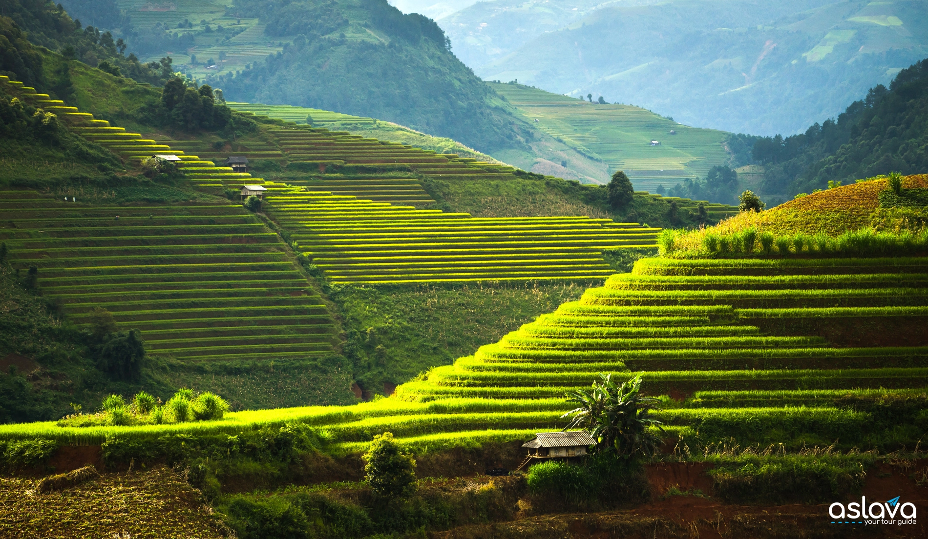 Banaue & Ifugao Rice Terraces – Cultural Guide 2026