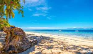 Cebu: Urban Thrills & Island Escapes 2026 | Travel Guide